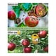 thumbnail image 3 of Paquete de 2 Trampas Solares de Avispas Colgantes Al Aire Libre, Avispas Colgantes con Luz para Chaquetas Amarillas, Avispones, Abejas, Trampas para Avispas, 3 of 5