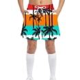 thumbnail image 2 of NAISIBABY Beach Swim Trunks for Boys, Summer Graphic with Pockets Elastic Waist Quick Dry Board Shorts Multicolor 6T, 2 of 8