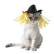 thumbnail image 3 of Creativo Gato perro Halloween vacaciones espantapájaros sombrero vestir disfraz de Cosplay, 3 of 5