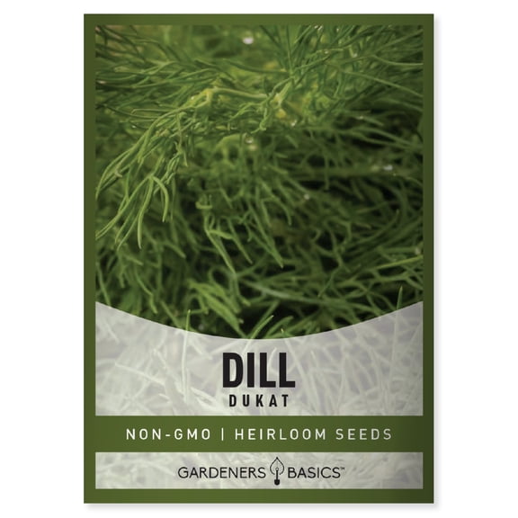 Dukat Dill Seeds