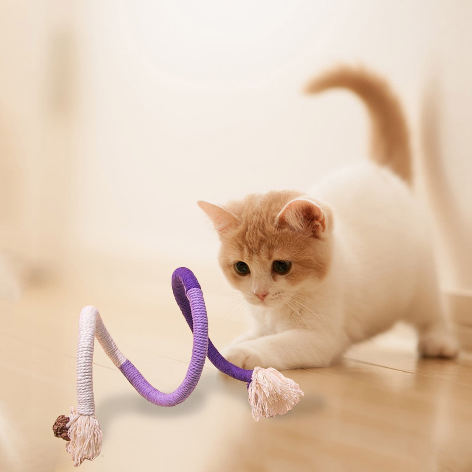 Cat Toy Teasing Cat Stick Baby Cat Fruit Molars Feather Cat Self