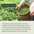 thumbnail image 6 of Encha Ceremonial Grade Organic First Harvest, Matcha Green Tea - Uji, Japan (30g/1.06oz), 6 of 9