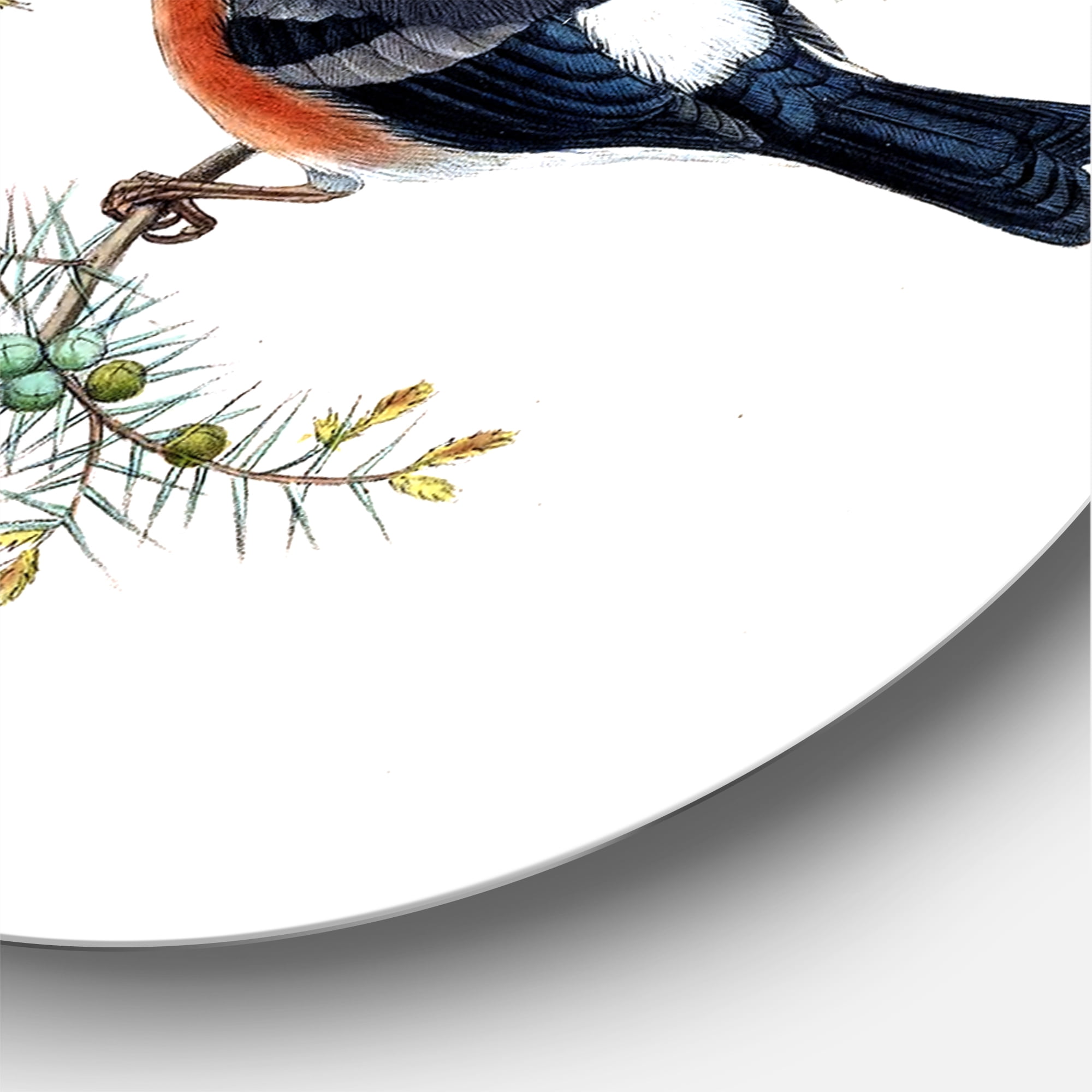 Designart 'Vintage Countryside Birds On Branch III' Farmhouse Circle Metal Wall Art 29x29 - Disc of 29