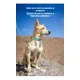thumbnail image 3 of Collar Con Correa Para Perro Chico Y Mediano, 3 of 8