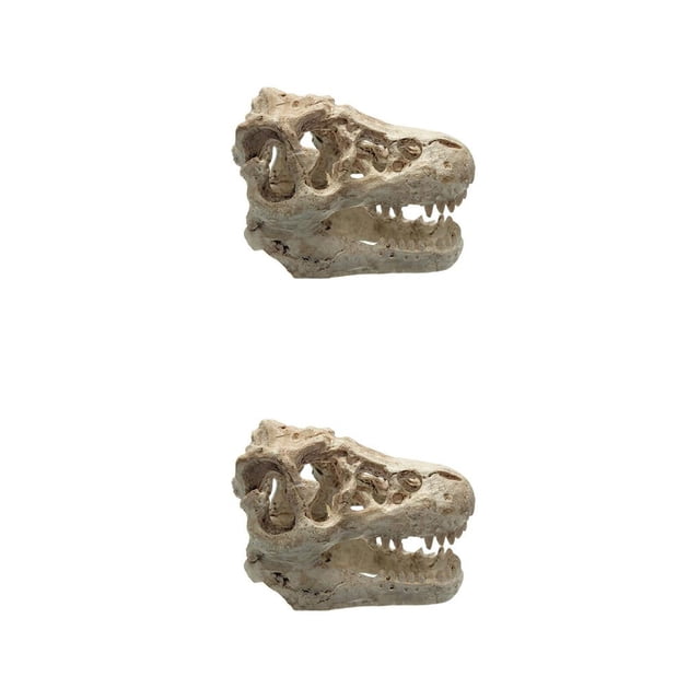 Methold Cráneo de cocodrilo de decoración de acuario de resina para adorno de pecera MB9-16 2piezas