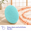 Body Sponge, 1 Count (Pack of 1), Gentle Bath Sponge for Skin Cleansing ...
