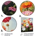 thumbnail image 3 of Designart "Romantic Impression of Zinnias" Floral Metal Wall Decor, 3 of 5