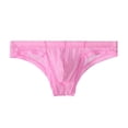 thumbnail image 1 of Men's Underwear Sheer Lace Low Rise Briefs for Daily Wear with Breathable Comfort and Stretch Fit, 1 of 3