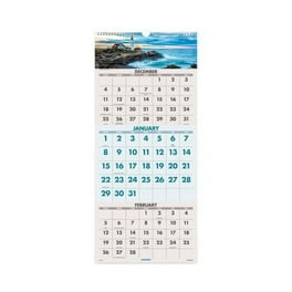 3-Month Wall Calendar, Colorful Leaves Artwork, 12.25 x 27, White/Multicolor Sheets, 14-Month (Dec to Jan): 2024 3-Month Wall Calendar, Colorful Leaves Artwork, 12.25 x 27, White/Multicolor Sheets, 14-Month (Dec to Jan): 2024