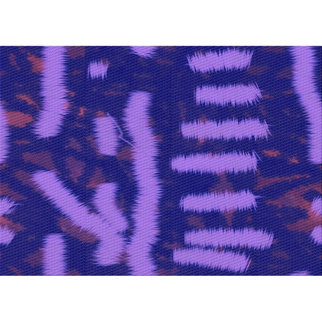 Ahgly Tapis Rectangulaire Lavable en Machine Intérieur Transitionnel Aztech Violet, 2 Pieds x 5 Pieds