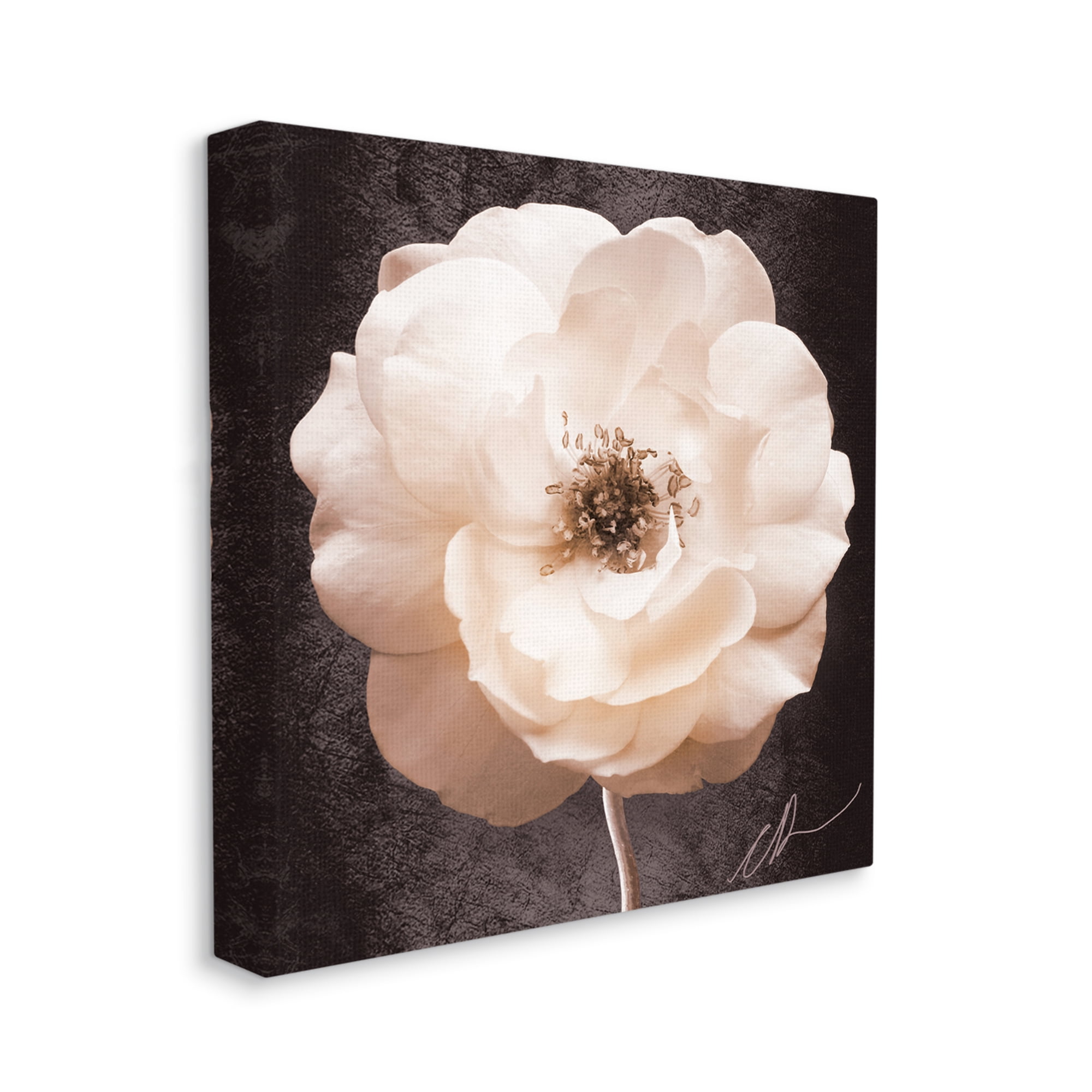 Stupell Industries Pink Flower Photography Botanical & Floral Painting Gallery Wrapped Canvas Art Print Wall Art, 17 x 17