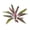 A, variant on Realistic Artificial Dracaena Leaves, 17.72 Inch High-Quality Faux Cordyline Fronds With Natural Veins And Colorful Variegated Patterns, Perfect For Indoor Home Decor And Floral Arrangements