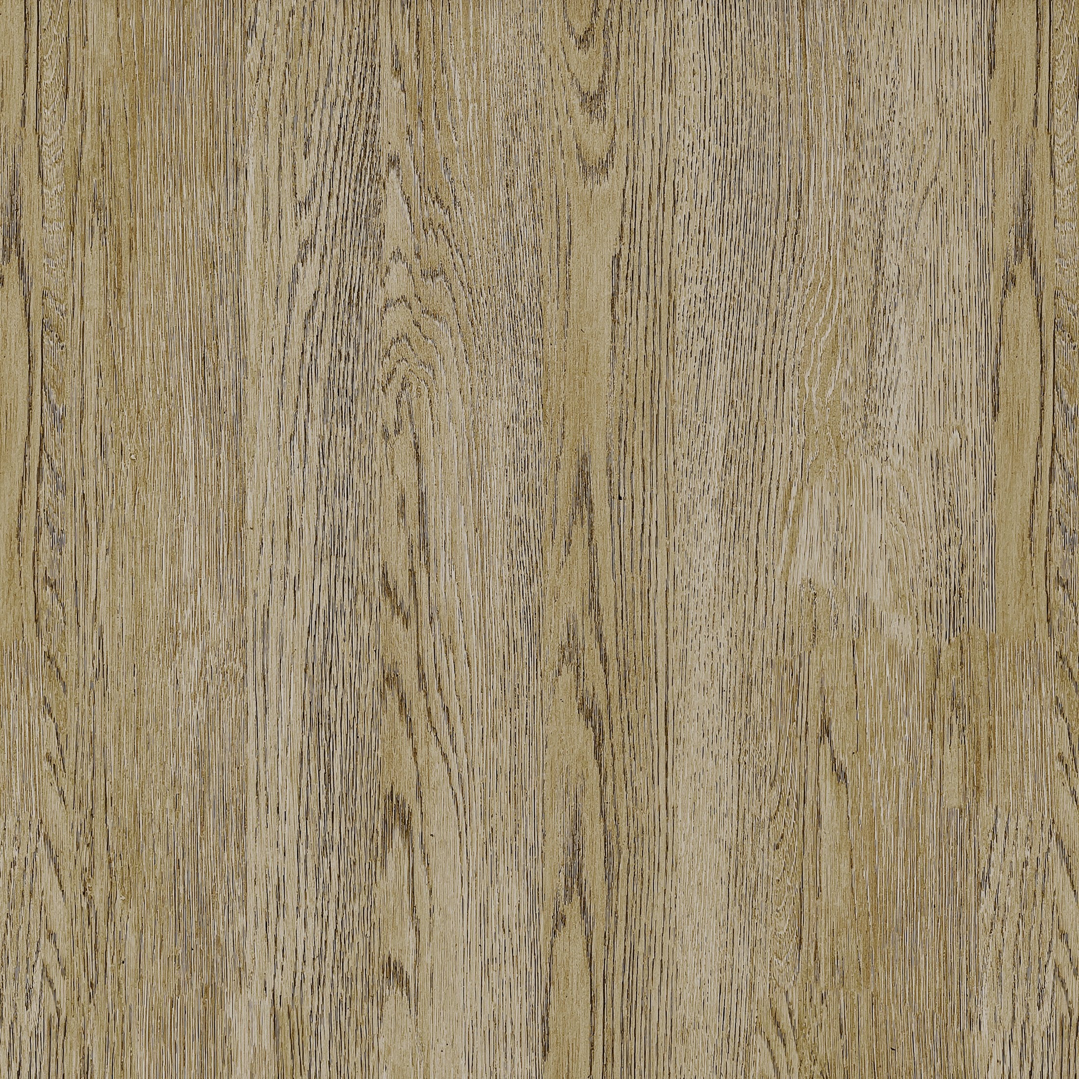 Castle Place Contemporary Hall Tree with Storage Cabinet, Light Oak