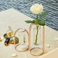 thumbnail image 4 of Geometric Test Tube Vase with Metal Frame, Transparent Glass Planter Hydroponics Decoration, 4 of 6