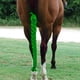 thumbnail image 3 of Protector de cola de caballo, envoltura para la cola, protección para caballos, decoración para cola de caballo larga, ecuestre Verde, 3 of 6