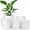 White, variant on 5 Pack Plant Pots, Flower Pots with Drainage Holes and Saucers, Plastic Planters for Indoor Outdoor Garden Plants, 7/6.5/5.5/5/4.5 Inch（White）