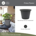 thumbnail image 2 of The HC Companies 16 Inch Round Prima Planter - Plastic Plant Pot with Rolled Rim for Indoor Outdoor Plants Flowers Herbs, Warm Gray Pack of 2, 2 of 8