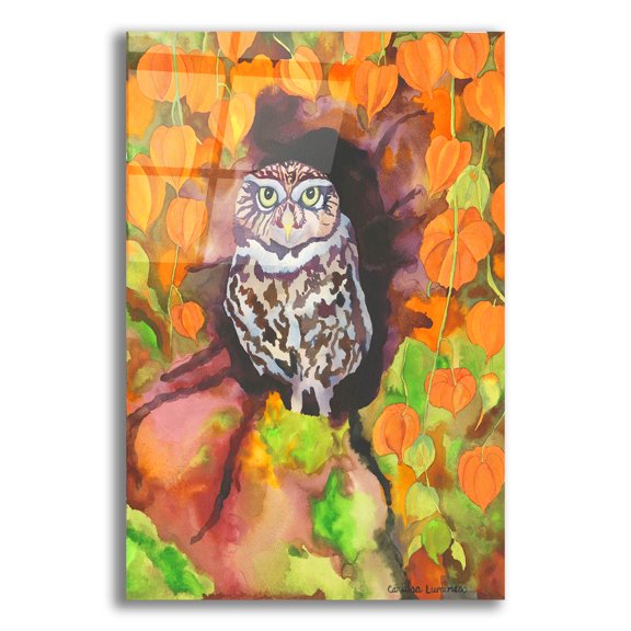 Epic Art 'Owl with Asian Lanterns' by Carissa Luminess, Acrylic Glass Wall Art, 12"x16"
