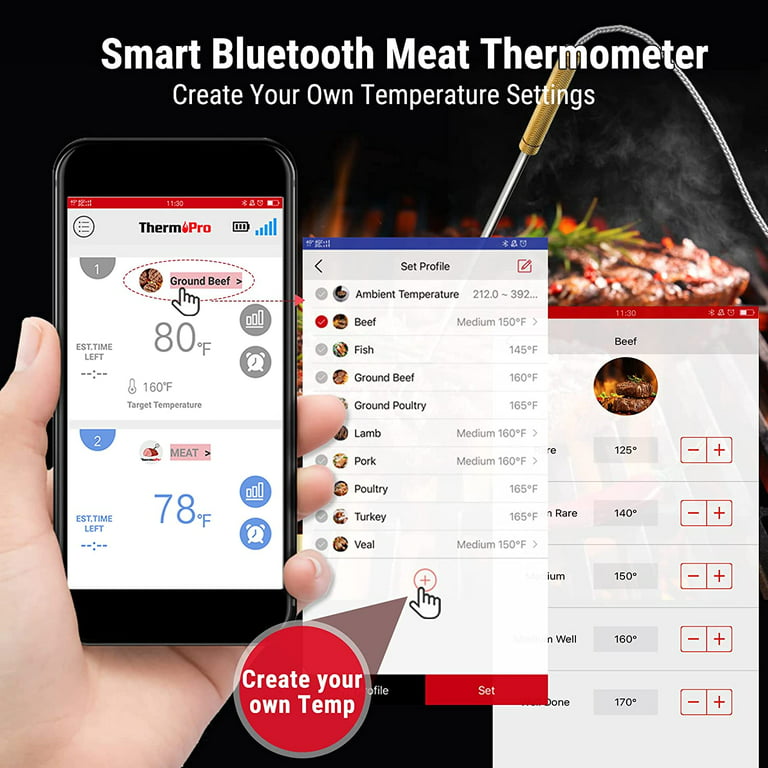 Weber iGrill Digital Probe Bluetooth Compatibility Meat Thermometer in the Meat  Thermometers department at
