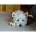 thumbnail image 2 of CafePress - Westie Mug - 11 oz Ceramic Mug - Novelty Coffee Tea Cup, 2 of 4