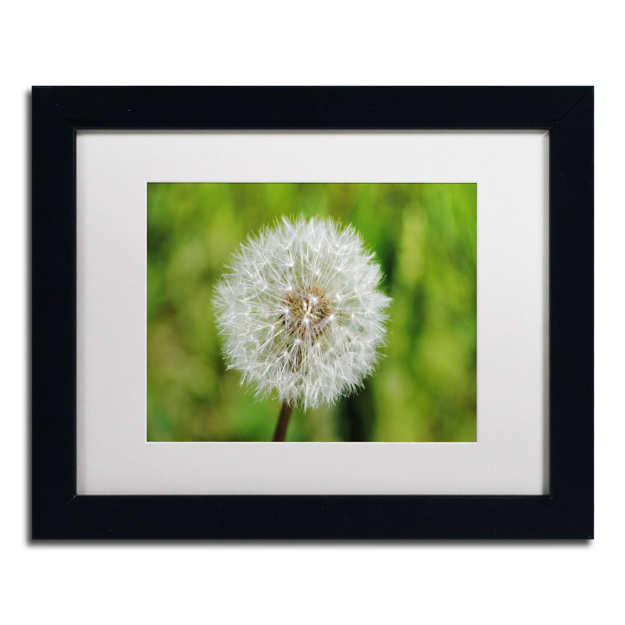 Trademark Fine Art "Make a Wish" Canvas Art by Monica Mize, White Matte, Black Frame