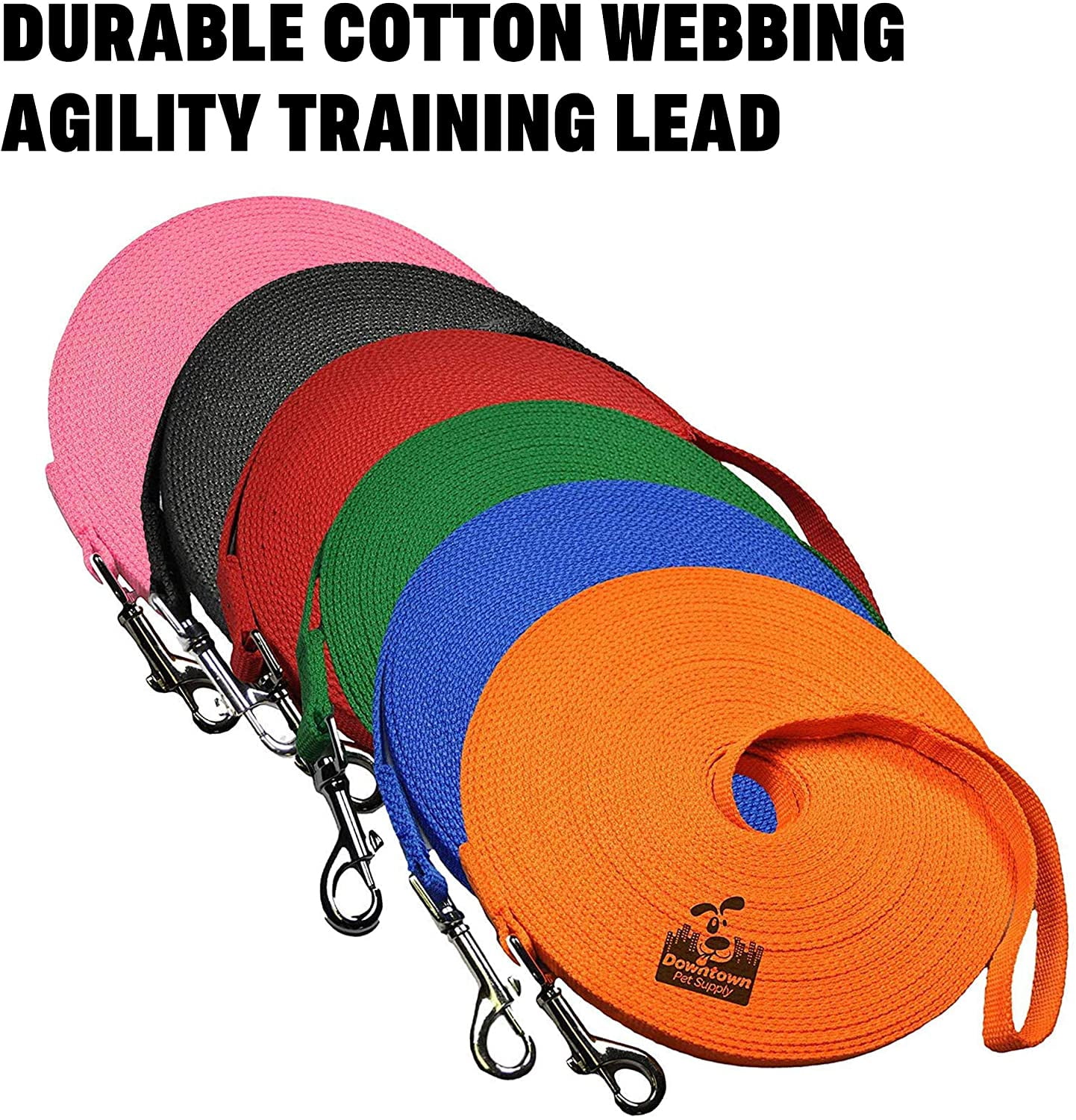 30 foot training lead