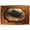 Gold Framed Version, variant on Marvel Venom: The Last Dance - Symbiote Fish Plaque Wall Poster, 22.375" x 34"