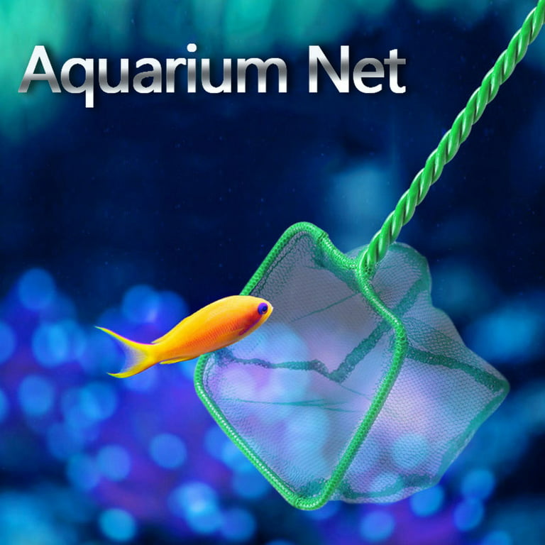 Danhjin Fish Net 12inch Aquarium Net Fish Tank Net Fine Mesh Fish Catch Net  with Plastic Handle Turtle Tank Accessories - Summer Savings Clearance 