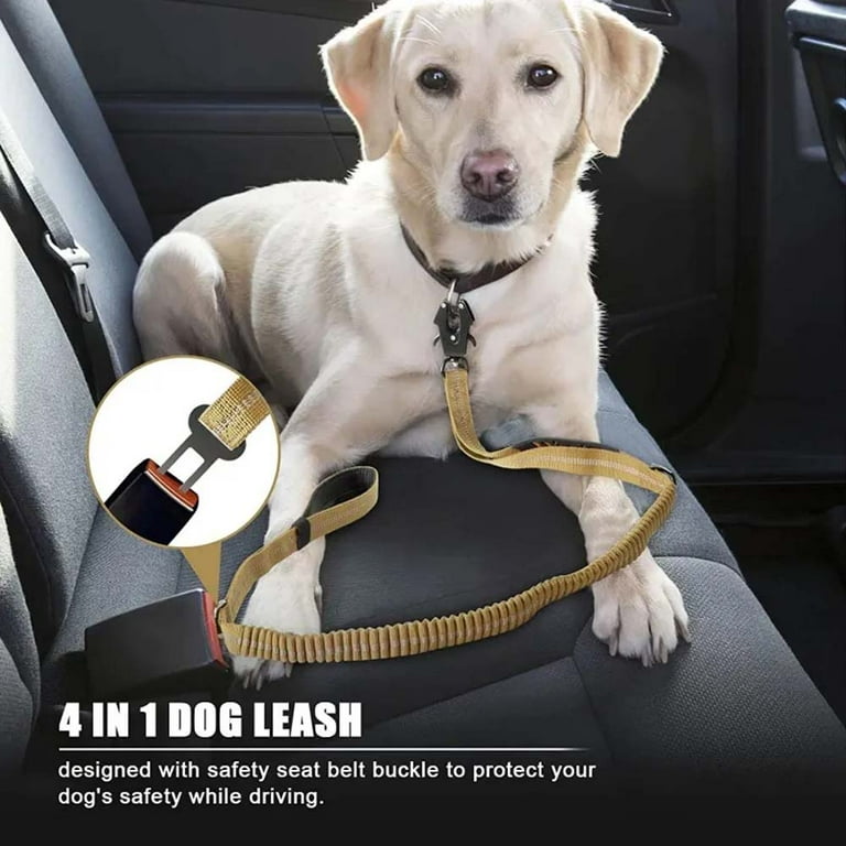 Dog leashes cheap for cars