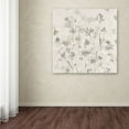 thumbnail image 3 of Trademark Fine Art "Garden Shadows IV" Canvas Art by Avery Tillmon, 3 of 3