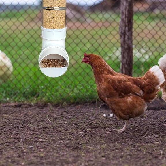 PVC Chicken Feeder, Outdoor Automatic Chicken Feeder, Chicken Feeders No Waste, Wall Mount Weatherproof Chicken Gravity Feeder (Transparent)