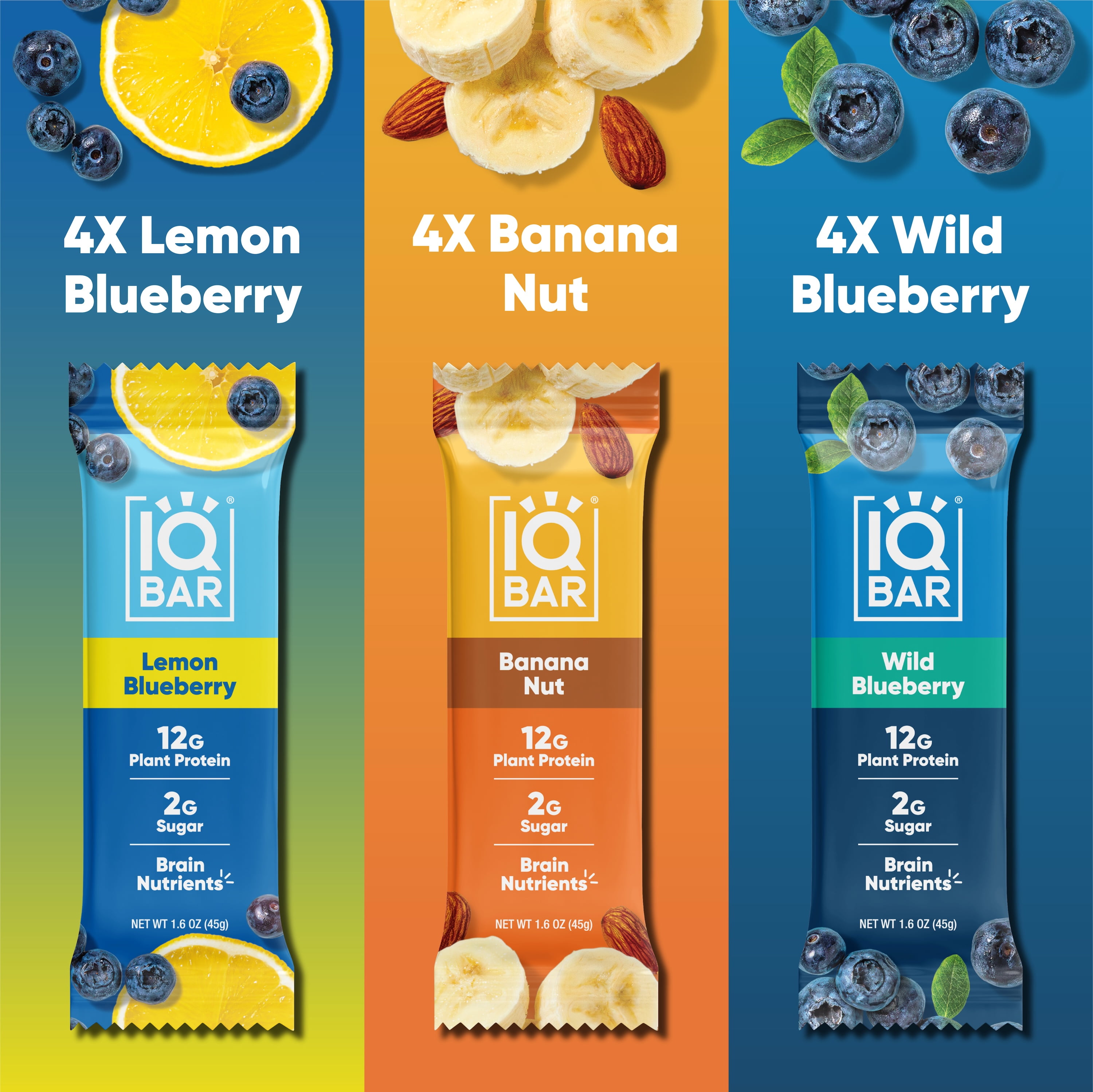 IQBAR Clean Plant Protein Bars - Fruit Lovers Variety - 12 Count - Keto, Vegan, High Fiber, Gluten and Dairy Free, Low Sugar Snack