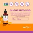 thumbnail image 4 of (2 pack) MaryRuth's Quercetin Liquid Drops Herbal Supplement, Lemon-Flavored, 500mg, Vegan, Dairy-Free, Gluten-Free, Unisex, 1-Count, 4 fl oz, 4 of 11