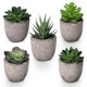 thumbnail image 1 of Mini Artificial Succulents Faux Plants Indoor Decorative Low Maintenance Non-Fading Indoor Plant Alternative 5Pcs, 1 of 5