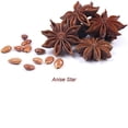 thumbnail image 3 of Anise Star Essential Oil 1 fl oz (30 ml) - 100% Pure and Natural by Silky Scents, 3 of 5