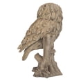 thumbnail image 3 of Chouette Trompette -DRIFTWOOD LOOK-, 3 of 5