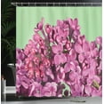thumbnail image 3 of Ambesonne Lilac Shower Curtain, Macro Pinkish Petals Spring, 69"Wx84"L, Pastel Green Pale Fuchsia, 3 of 4