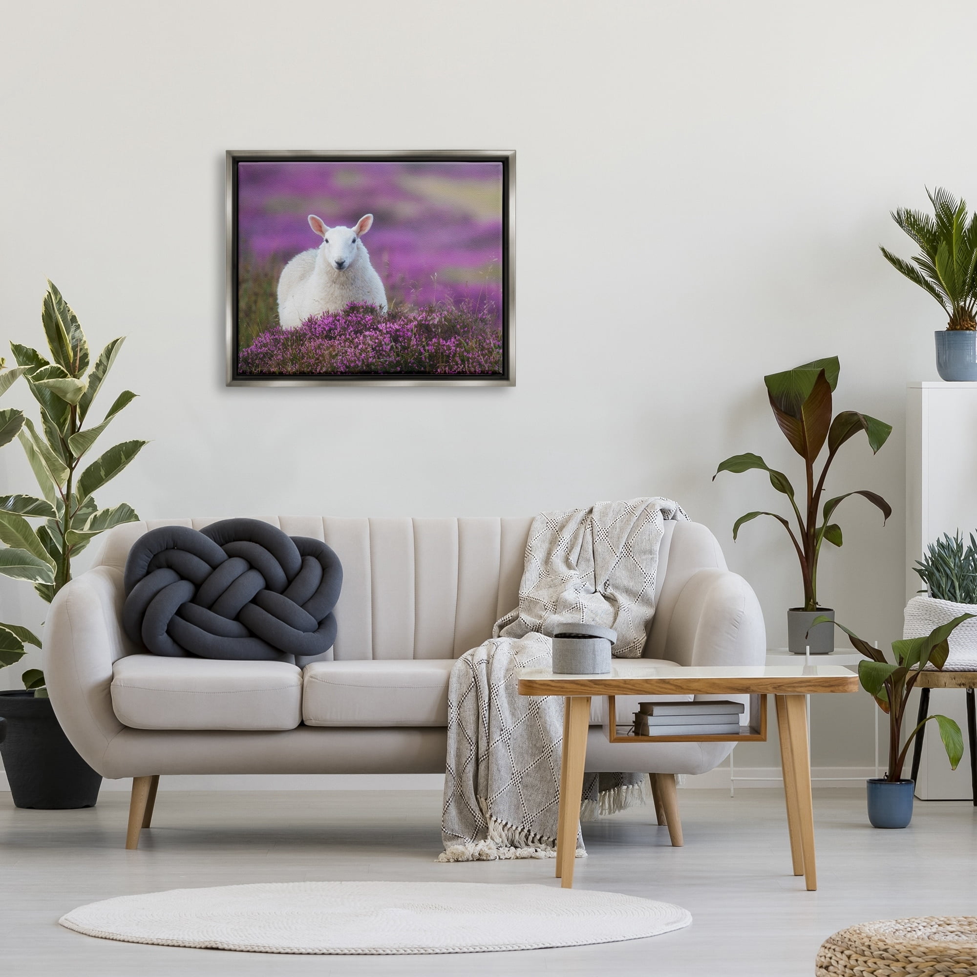 Stupell Industries Elegant White Sheep Among Purple Flower Meadow Photograph Luster Gray Floating Framed Canvas Print Wall Art, Design by James Dobson