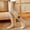 Khaki, variant on TAIAOJING Toddler Baby Kids Girls Cotton Leggings Knitted Pantihose Stretchy Basic Full Length Pants Pantyhose For Spring Autumn Stocking Casual Joggers, 6-12 Months