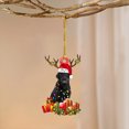 thumbnail image 3 of Christmas Tree Thanksgiving Hanging Gift Puppy Indoor Outdoor Decor For Yourself Family Friends Or Someone Special 10 * 17Cm 08A Multi-Color, 3 of 6