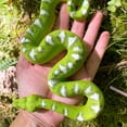 thumbnail image 6 of Safari Ltd. Emerald Tree Boa Figurine - Lifelike 7.25" Plastic Snake Model - Educational Toy for Boys, Girls & Kids Ages 3+, 6 of 7