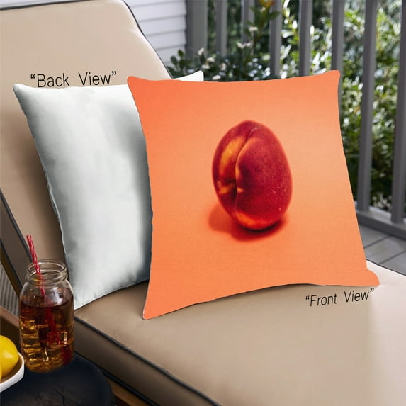 Ahgly Company Foods Peach Outdoor Throw Pillow, 18 inch by 18 inch