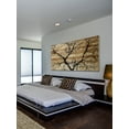 thumbnail image 5 of Parvez Taj Branching Out Pinewood Wall Art, 5 of 7
