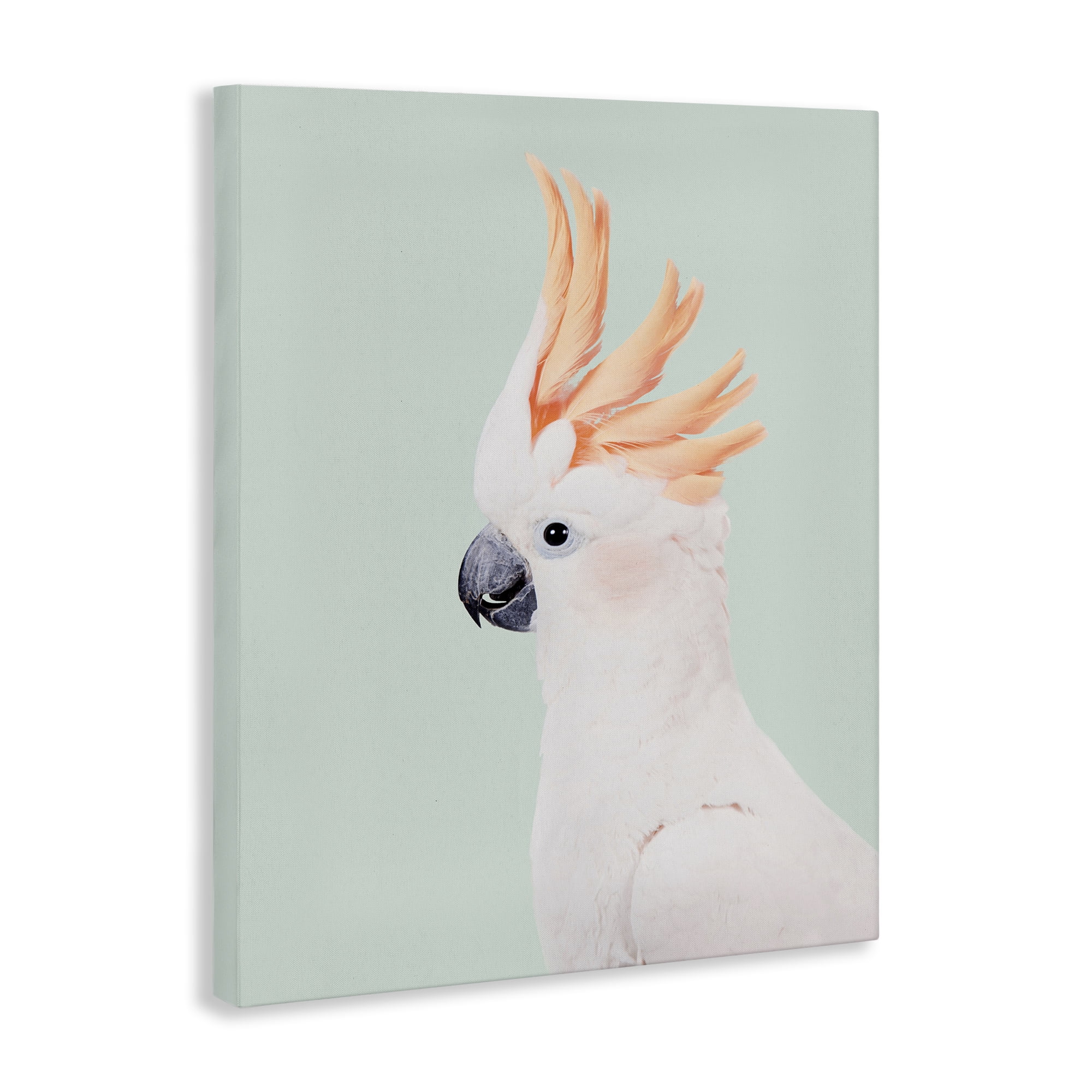 Stupell Industries White Cockatoo Portrait Animals Painting Wrapped Canvas Art Print Wall Art, 16 x 20