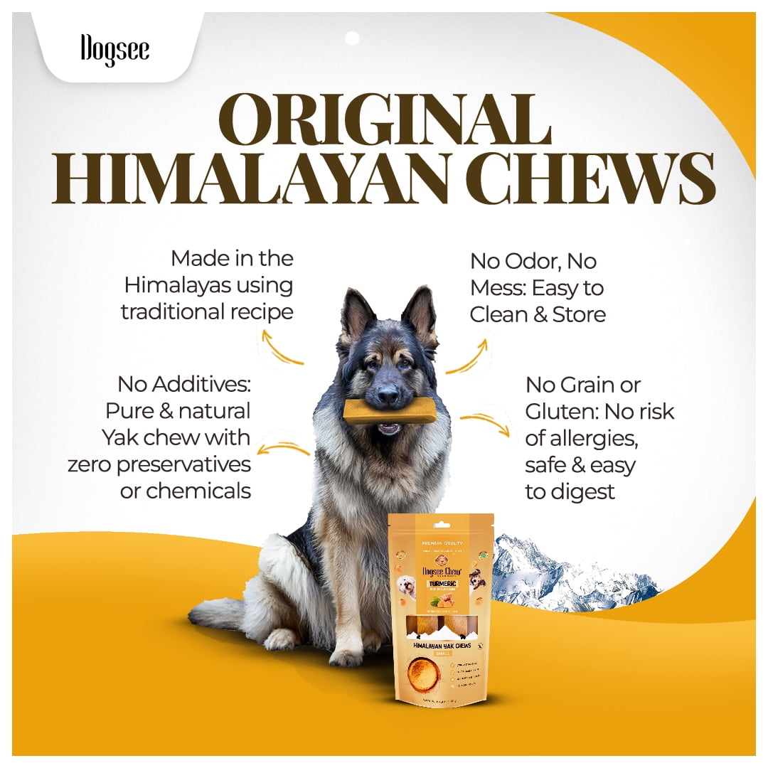 Dogsee Himalayan Yak Cheese Dog Chews with Turmeric/Curcumin (Medium - 6Chew) | Long Lasting | Anti-inflammatory | Fights Plaque and Tartar | Odorless Dog Treats