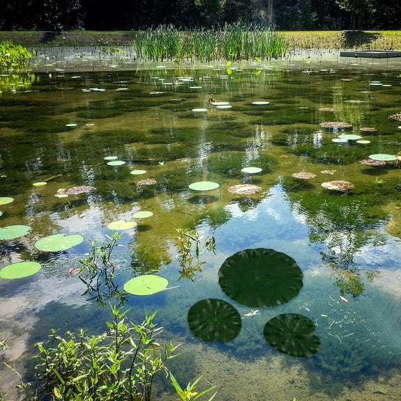 FRCOLOR 9Pcs Artificial Lotus Leaves Floating Water Lily Pads for Pond Pool Decoration Green Eva Material