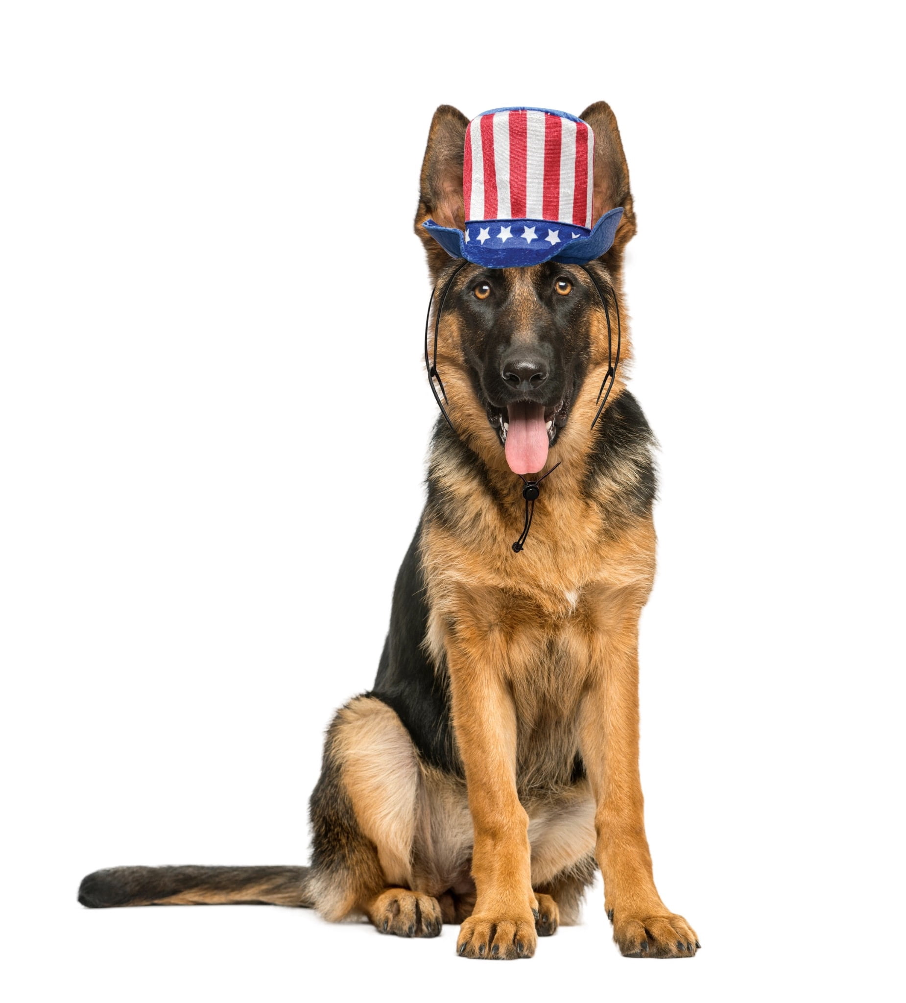 Vibrant Life 4th of July Uncle Sam Pet Top Hat XS/S - Red, White & Blue