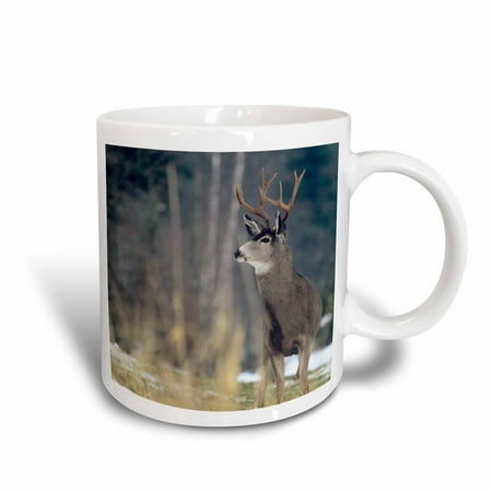 3dRose Mule deer, winter near Bigfork Montana - US27 CHA1374 - Chuck Haney, Ceramic Mug,