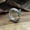 #4, variant on Fashion Punk Dragon Year Open Ring Adjustable Women Hip Hop Jewelry Party Gift-#9