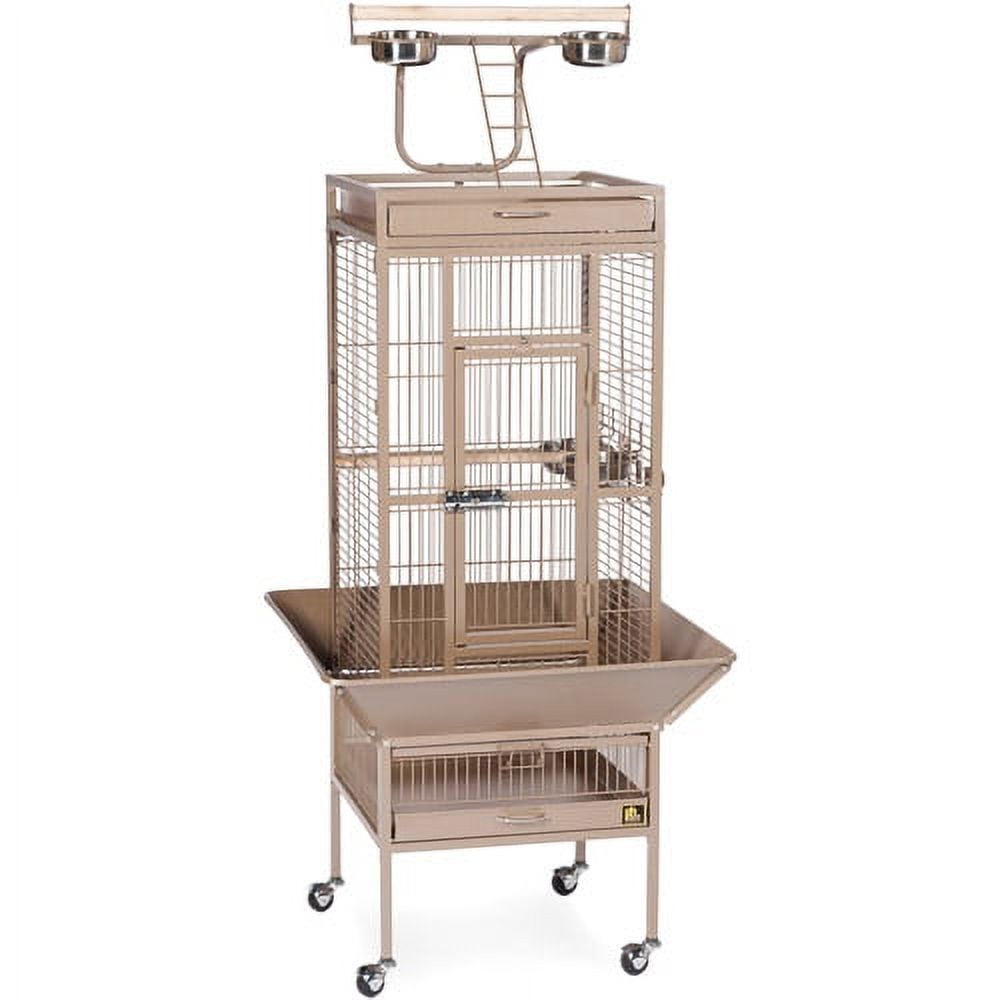 Prevue Pet Products Wrought Iron Select Birdcage, Coco Brown, 18"x18"x57"